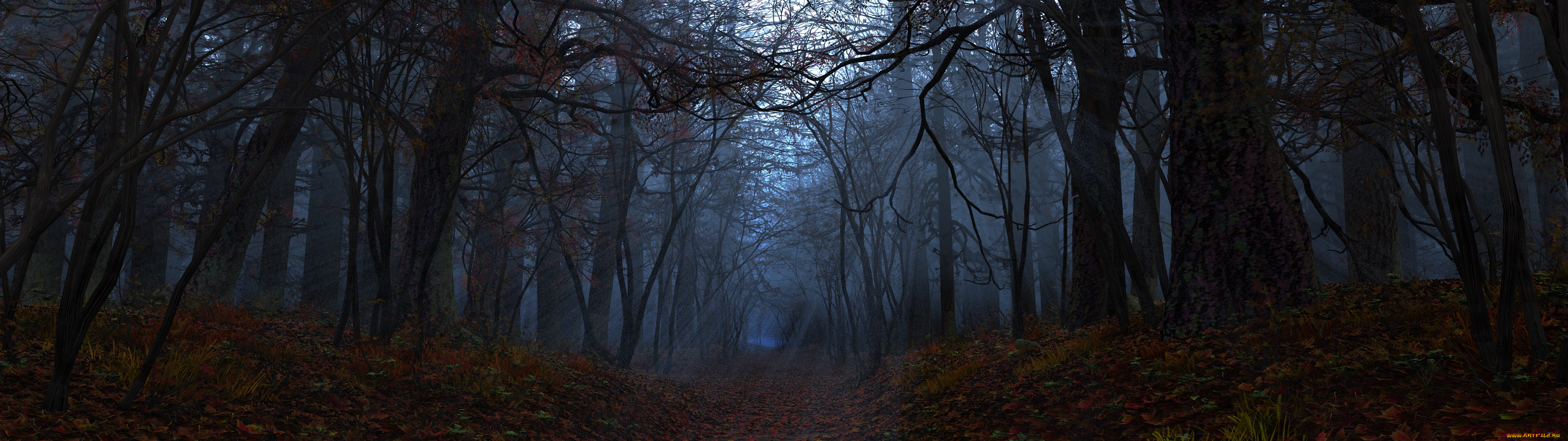 Мрачный лес панорама